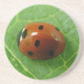 En Grès Dessous de verre Ladybug (Devant)