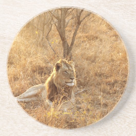 En Grès Dessous de verre Lion (Devant)
