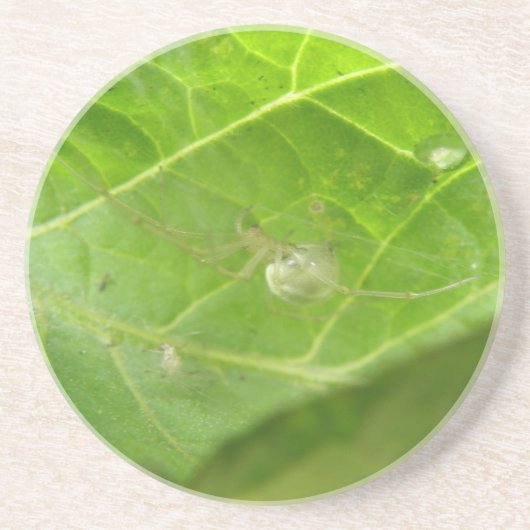 En Grès Dessous de verre Little Spider (Devant)