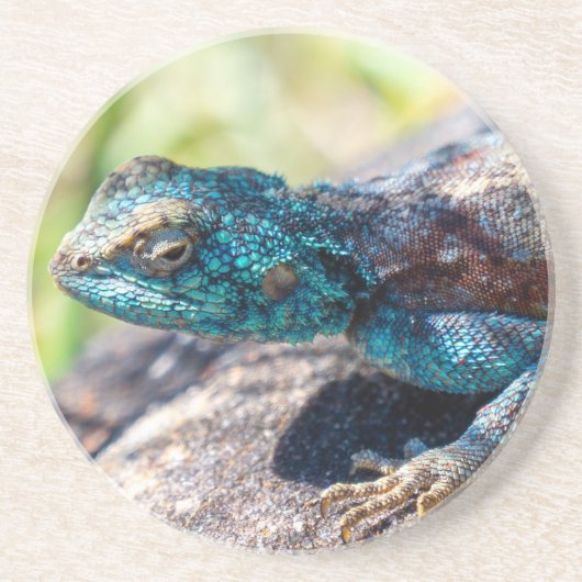 En Grès Dessous de verre Lizard multicolore (Devant)