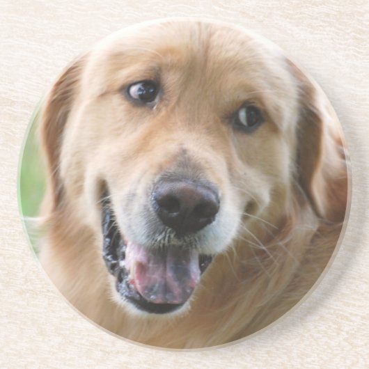 En Grès Dessous de verre mignons de golden retriever (Devant)