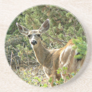En Grès Dessous de verre noirs de cerfs communs de queue