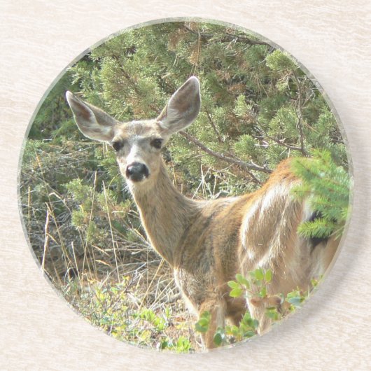 En Grès Dessous de verre noirs de cerfs communs de queue (Devant)