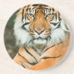 En Grès Dessous de verre oranges de tigre