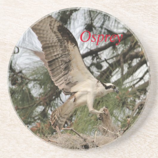 En Grès Dessous de verre Osprey Wildlife (Devant)
