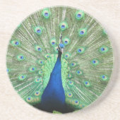 En Grès Dessous de verre - Peacock (Devant)
