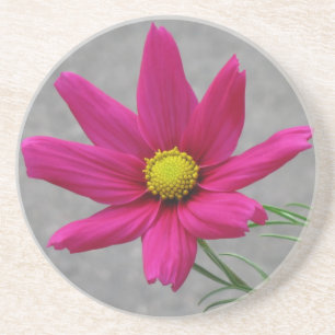 En Grès Dessous de verre personnalisé Fleur rose