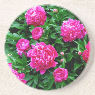 En Grès Dessous de verre Pies Roses
