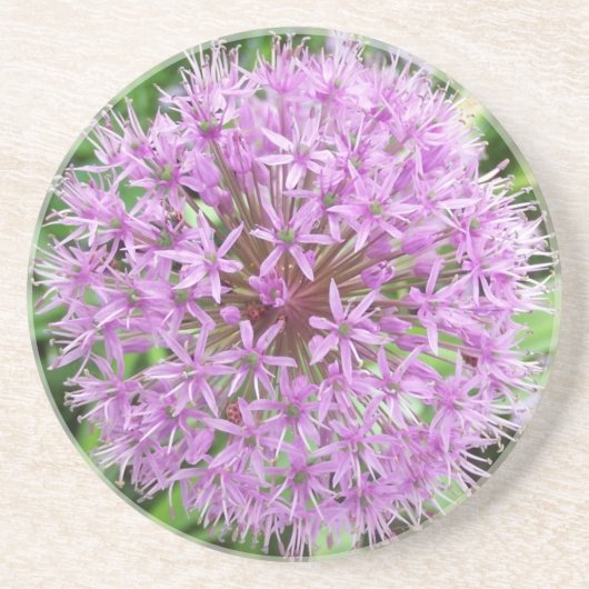 En Grès Dessous de verre pourpres d'allium (Devant)