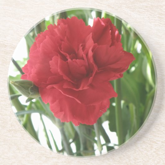 En Grès Dessous de verre Red Carnation (Devant)