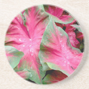 En Grès Dessous de verre Red & Green Caladium