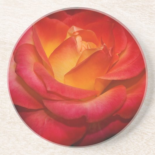 En Grès Dessous de verre roses flambants (Devant)
