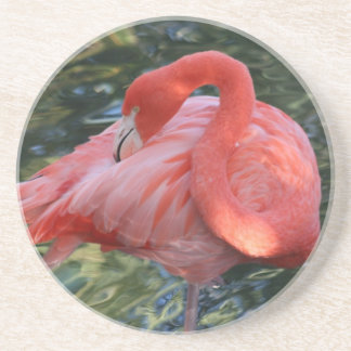 En Grès Dessous de verre roses magnifiques de Flamant rose