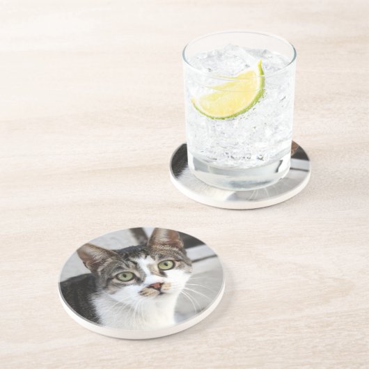 En Grès Dessous de verre Sandstone Cat (Côté)