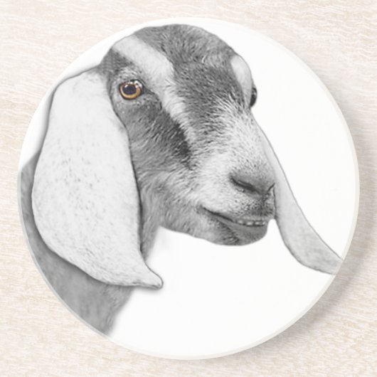 En Grès Dessous de verre Sandstone de chèvre nubienne (Devant)