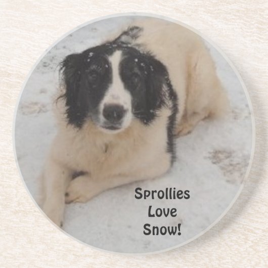 En Grès Dessous de verre Sprollie Dans La Neige (Devant)