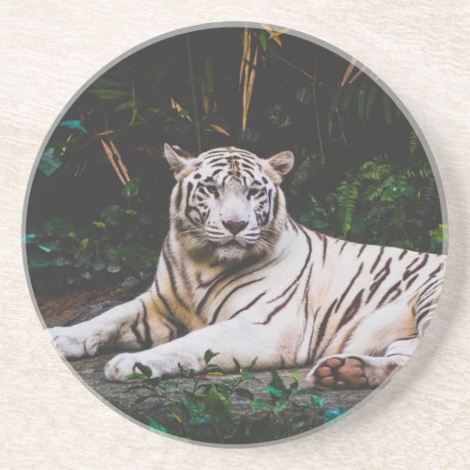 En Grès Dessous de verre tigre (Devant)
