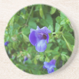 En Grès Dessous de verre Torenia
