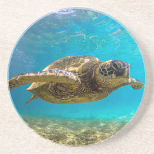En Grès Dessous de verre tortue