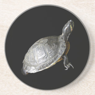 En Grès Dessous de verre tortue