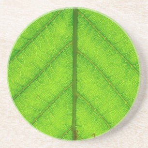 En Grès Dessous de verre verts de feuille