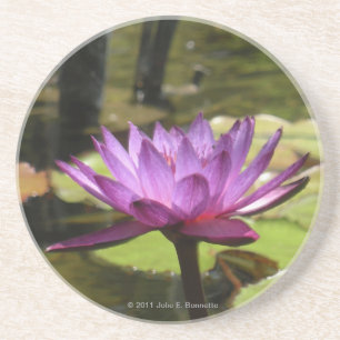 En Grès Dessous de verre Water Lily