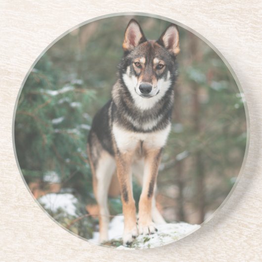En Grès Dessous de verre Wolfdog (Devant)