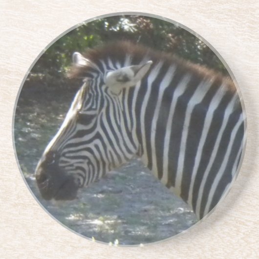En Grès Dessous de verre Zebra (Devant)