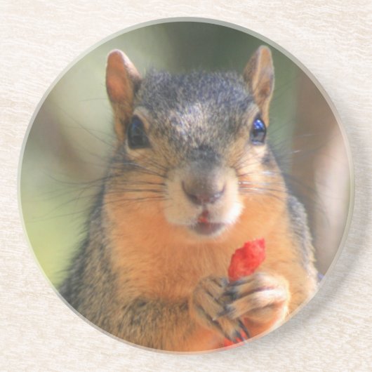 En Grès Écureuil tenant des dessous de verre de souffle de (Devant)