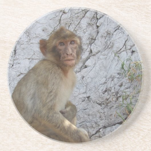 En Grès Gibraltar Monkey dessous de verre (Devant)