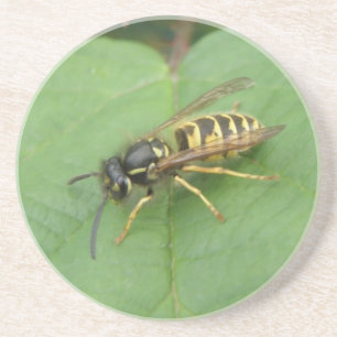En Grès Hoverfly sur un Dessous de verre feuille