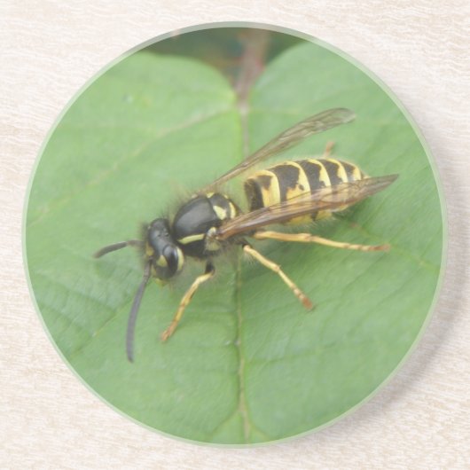 En Grès Hoverfly sur un Dessous de verre feuille (Devant)