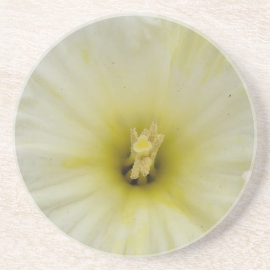 En Grès Joli Dessous de verre de jonquille pâle (Devant)