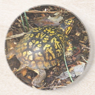 En Grès La CZ dessous de verre de tortue de boîte