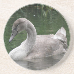 En Grès Le cygne gracieux sur les Dessous de verre aquatiq