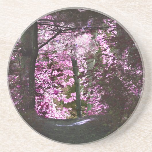 En Grès Lumière Sur Le Dessous de verre Naturel Path (Devant)