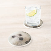 En Grès Matisse - un Bichon Frise - dessous de verre (Côté)