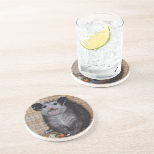 En Grès Opossum sur des dessous de verre (Côté)