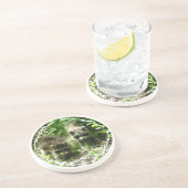 En Grès Paires de dessous de verre de ratons laveurs (Côté)