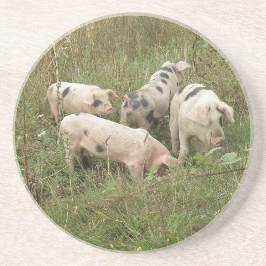 En Grès Porcs dans un Dessous de verre de campagne (Devant)