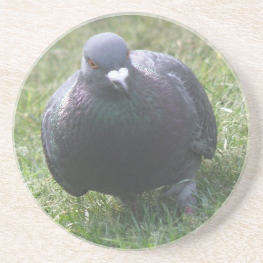 En Grès Poster des Dessous de verre de pigeon (Devant)