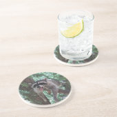 En Grès Raton laveur dans des dessous de verre d'arbre (Côté)