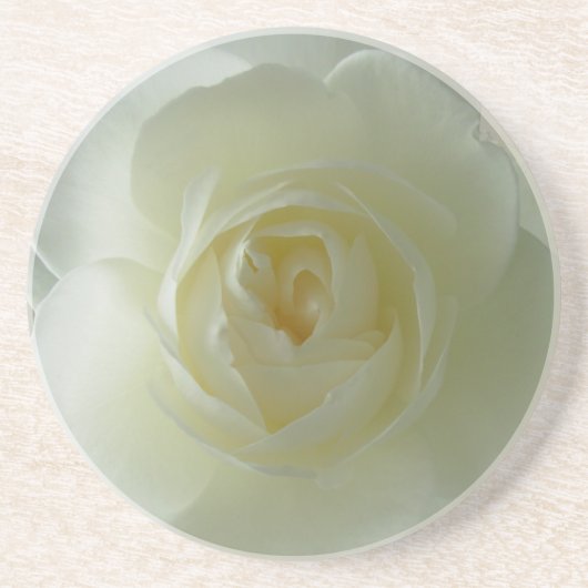 En Grès Rose blanche Dessous de verre Sunny Roses cadeaux  (Devant)
