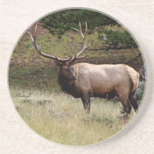 En Grès Série d'animaux — Elk dans le Dessous de verre sau