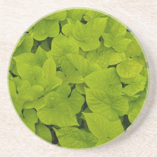 En Grès Série Plante/Fleur - Dessous de verre de la vigne (Devant)