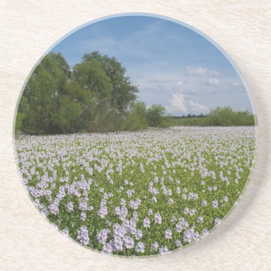 En Grès Série plante/Flower : Fleurs sur Dessous de verre (Devant)