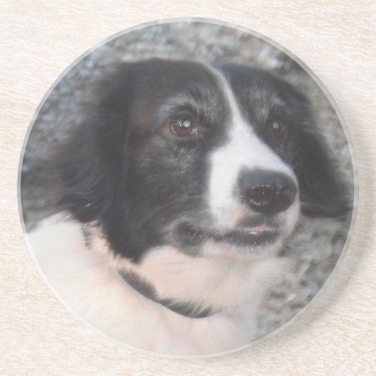 En Grès Sprollie dessous de verre souriant (Devant)