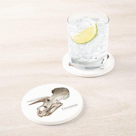 En Grès Tricératops Dessous de verre crâne (Côté)