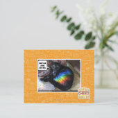 En ik kan ook achterschipDEM Briefkaart (Staand voorkant)