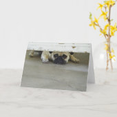 En jetant un coup d'oeil la carte de voeux de (Fleur jaune)